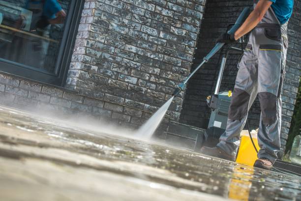 Best Soft Washing  in Elysburg, PA